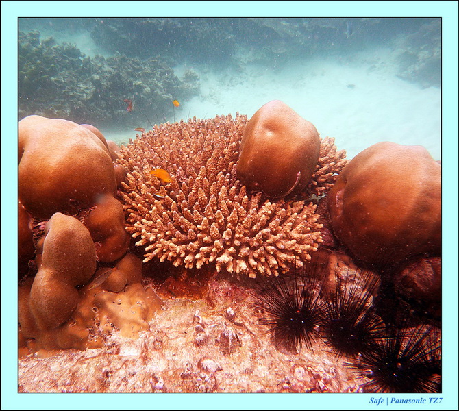 2011 - 07 - Koh Lipe 74